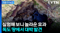 독도 땅에서 발견...\'독도티오신\' 놀라운 효능 [지금이뉴스] 