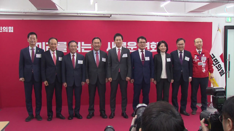 국힘 대구시장 후보만 9명 '북적'…민주 "역대급 승리"