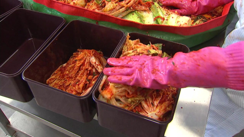 "김치 유산균, 미세플라스틱 배출 돕는다"