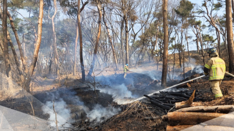 수원 팔달산 7곳 방화…백석대 화재로 학생 대피