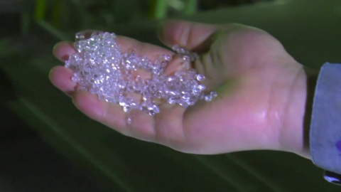 '석유화학의 쌀' 에틸렌 줄줄이 감산…여수산단 가동률 '뚝'