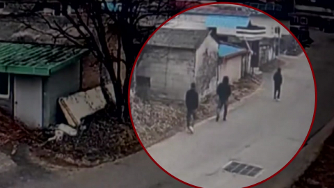 대낮 가정집에서 3인조 강도 행각…나흘 만에 검거