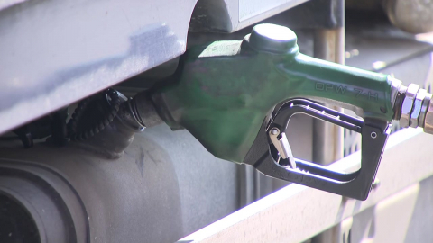 "가격 안정"·"아직 체감 안 돼"…기대 속 반신반의