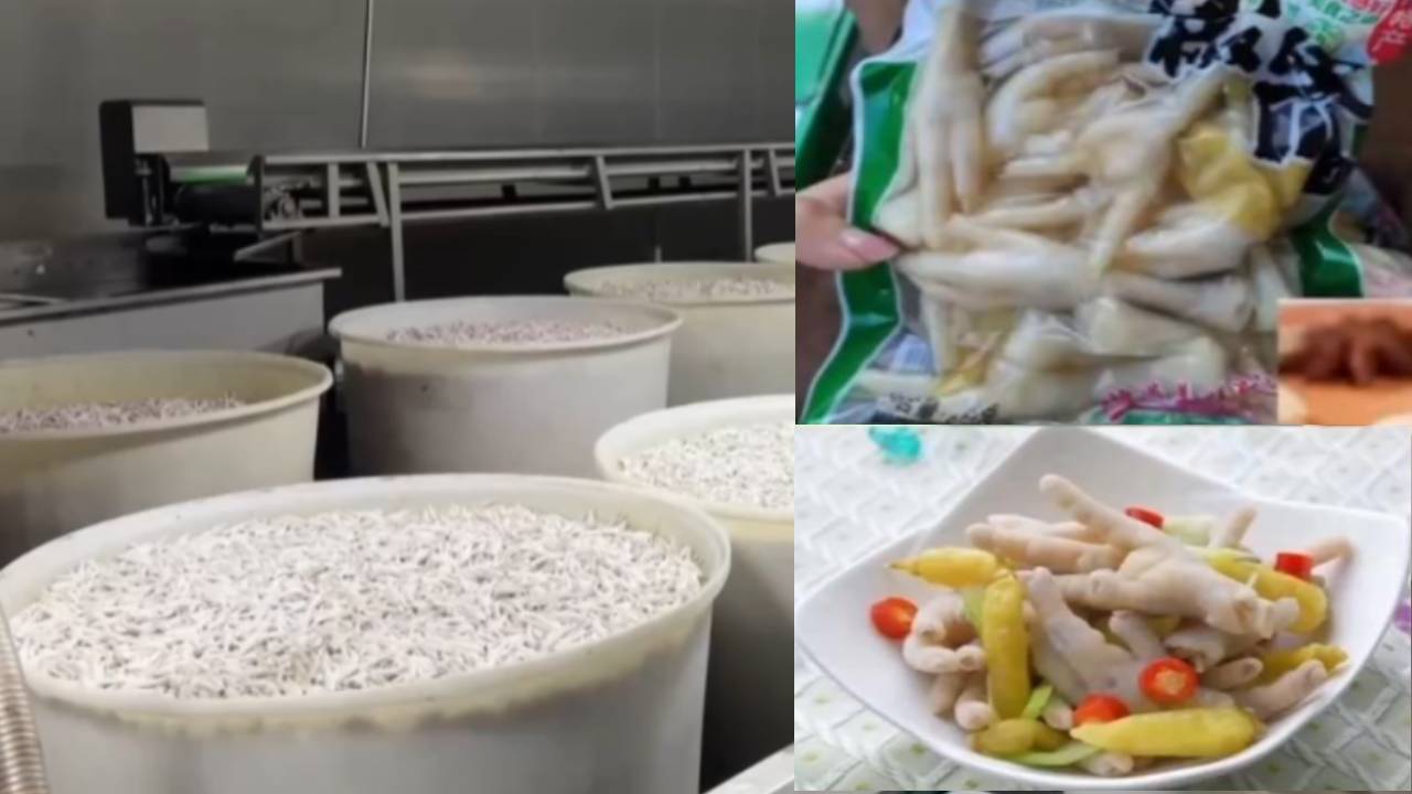 유독 새하얗던 닭발…'과산화수소 표백' 현장에 中 발칵