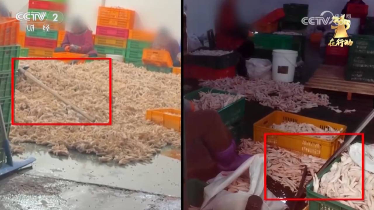 유독 새하얗던 닭발…'과산화수소 표백' 현장에 中 발칵