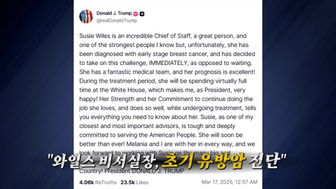 '얼음공주'도 피하지 못한 암… 수지 와일스 '초기 유방암' 진단 [앵커리포트]