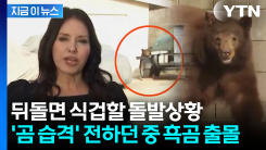 \'곰 습격 사건\' 생중계 중에 돌발상황...기자 뒤로 실제 곰이 [지금이뉴스]