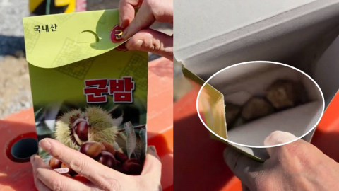 군밤 샀더니 '돌멩이'가?…축제 노점서 황당 사건