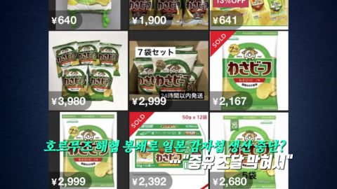 감자칩 사재기… 왜? [앵커리포트]