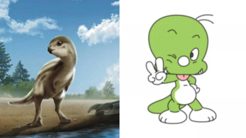 신안서 발견된 신종 공룡에 '둘리사우루스' 이름 붙었다