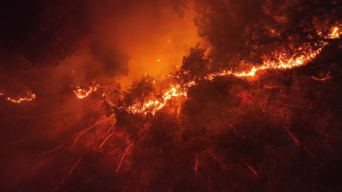 영남 10만ha 태운 \'최악의 산불\'…현장 대응 지금은?
