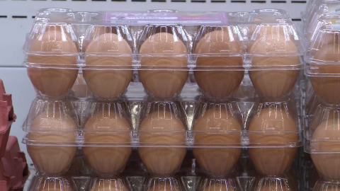 "달걀 한 판에 8천 원"…AI 여파로 장바구니 물가 \'비상\'