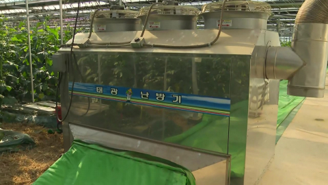 농업용 난방유 홀로 18일간 올라…먹거리 물가 비상