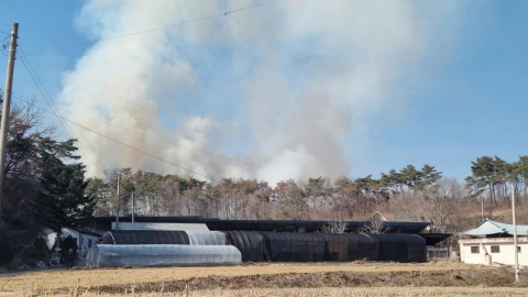 확대되는 건조특보…휴일 전국 곳곳 산불 잇따라