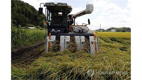 쌀값 두배 뛰더니 소비 줄어...일본 올해 쌀시장, '공급 과잉'