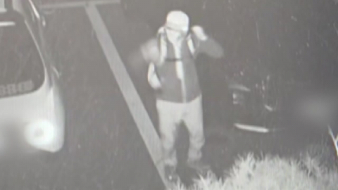 [단독] 빌라 단지 잇단 금품 절도…CCTV 속 \'복면 남성\'