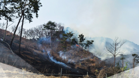 안성시 야산에서 불…상습 음주 운전자 구속 송치