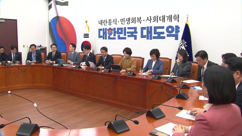 "상임위 독식, 민주화 이전 퇴행"…여당 내부선거용?