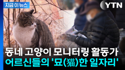 길고양이 관리하고 76만 원...어르신들의 \'묘한 일자리\' [지금이뉴스]