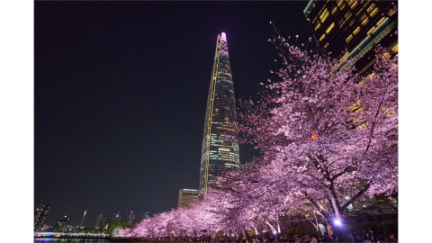 [기업] "석촌호수 벚꽃 보러 오세요"...'스프링 인 잠실' 개최