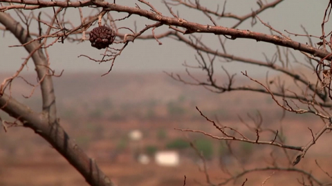 "유독 뜨거운 한국"…\'기후위기 표준\' 불명예