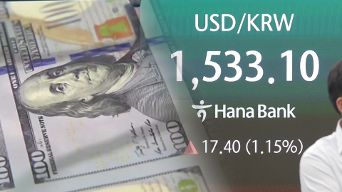 "원화 가치, 바닥 모르고 추락"...1530원 뚫은 원/달러 환율 [Y녹취록]