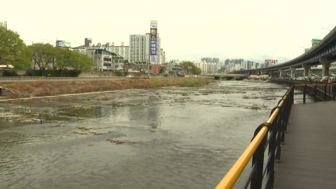 "대구 여행용 가방 시신 여성, 사위 폭행으로 숨져"