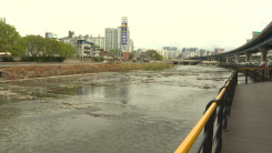 "대구 여행용 가방 시신 여성, 사위 폭행으로 숨져"