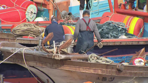 선박용 경유값 껑충…"최고가격제 후 절반 올라"