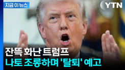 "푸틴도 알고 있다" 조롱..."트럼프, 나토 탈퇴 강력 검토" [지금이뉴스] 