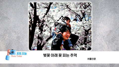 [포토오늘] 벚꽃 아래 꽃 피는 추억