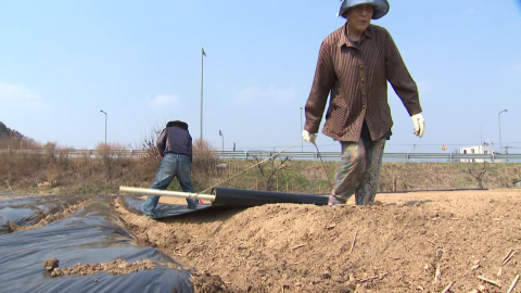 치솟는 비닐값에 비료는 품귀…영농철 농민 막막