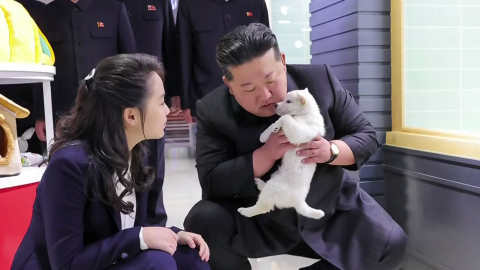 김정은은 강아지, 주애는 고양이 쓰담 [앵커리포트]