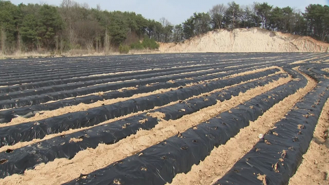 치솟는 비닐값에 비료는 품귀…영농철 농민 막막