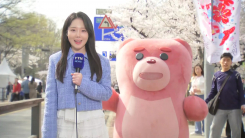 [날씨] 윤중로 수놓은 분홍빛 '벚꽃 물결'...밤부터 전국 비