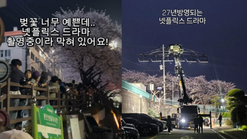 "1년 기다렸는데…" 유명 벚꽃길 막고 넷플릭스 드라마 촬영