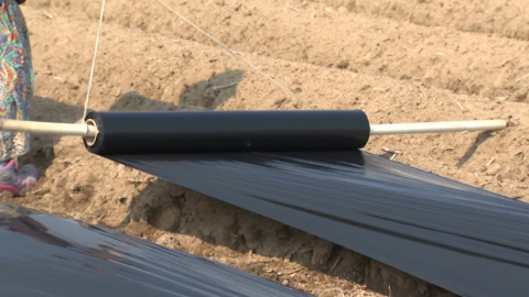 치솟는 비닐값에 비료는 품귀…영농철 농민 막막