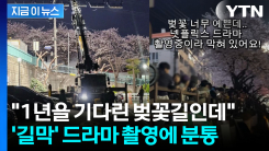"전세 냈냐"...벚꽃길 구경 온 시민들 막은 촬영팀에 논란 일파만파 [지금이뉴스]