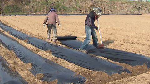 치솟는 비닐값에 비료는 품귀..."농산물 가격 인상 시간 문제"