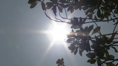 폭염에 공사 쉬면 일당 지급…제주, 전국 첫 기후보험