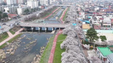 "만발한 봄꽃에 설렘 가득"…전국 곳곳 행락객 북적