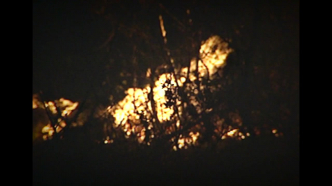 식목일·청명·한식 겹치는 4월…산불 원인 1위 '실화'