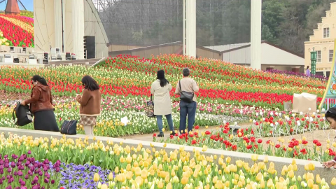 놀이공원도 상춘객 발길…120만 송이 튤립 물결