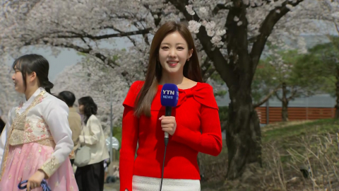 [날씨] 북적이는 \'馬시멜로 벚꽃축제\'…휴일 밤 중부부터 비