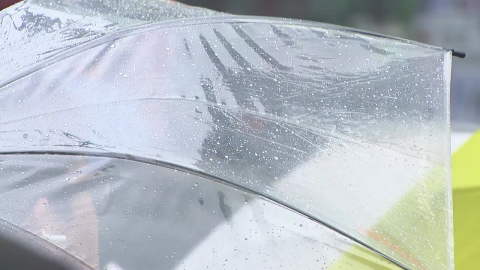 [출근길 YTN 날씨 4/6] 오늘 전국 봄비…비 그친 뒤 기온 '뚝'