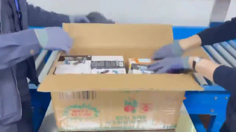 여행자 밀수 마약 적발, 1년 새 2배...1분기에만 178건