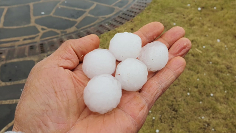 골프공만 한 우박이 '통통'…농작물 피해 우려