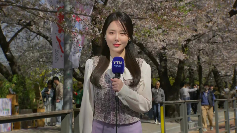[날씨] 윤중로 봄꽃축제 마지막 날…내일도 때늦은 꽃샘추위