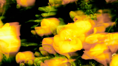 동해, 오늘(7일) 신곡 '굿 데이' 공개…박재범 피처링 지원사격