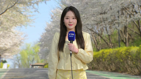 [날씨] 내일이면 '벚꽃엔딩'?…내일 전국 비, 남해안·제주 봄 호우